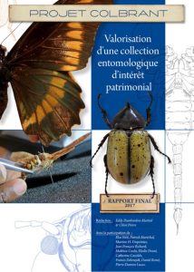 Les projets de l'association Martinique Entomologie : Couverture du rapport Projet Colbrant : valorisation d'une collection entomologique d'intérêt patrimonial