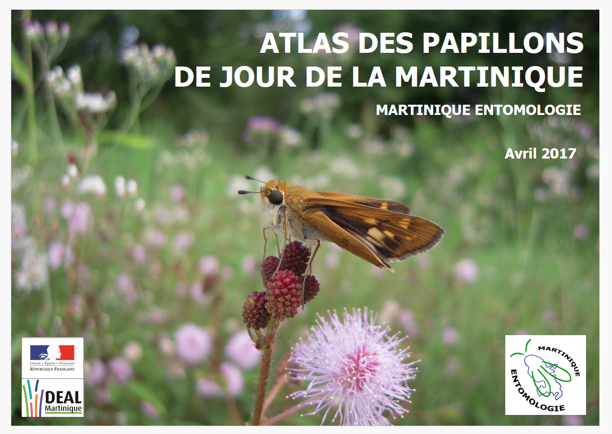 Les projets de l'association Martinique Entomologie : l'atlas des papillons de jour de la Martinique