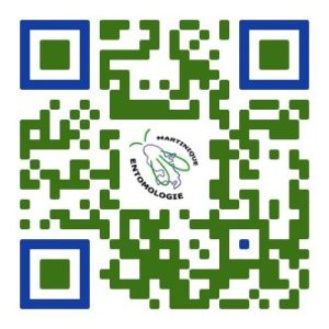 QR Code Atlas