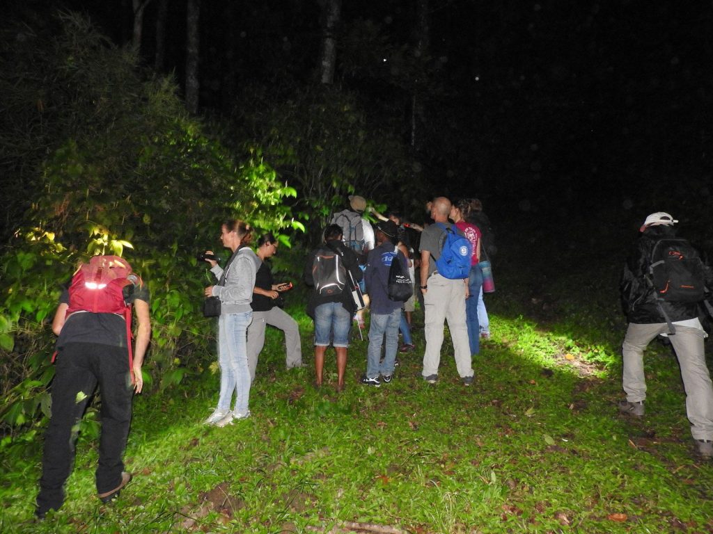 A la recherche des petites bêtes Sortie Qui se cache dans la forêt la nuit