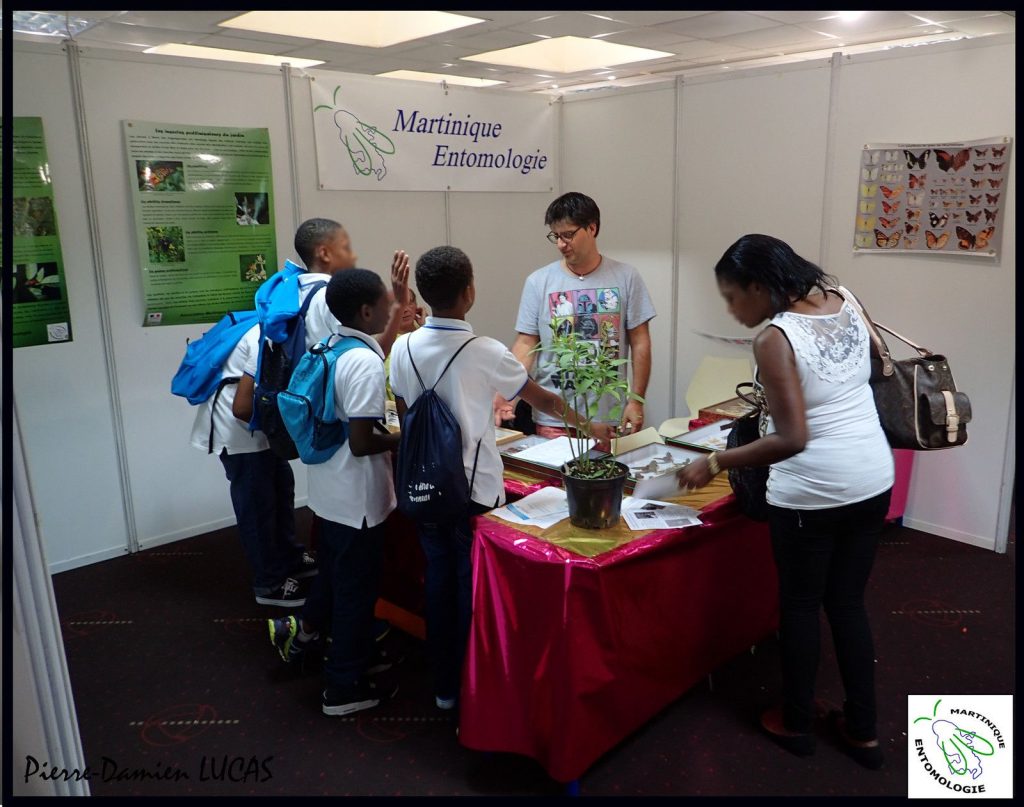 Des insectes à la Fête de la science