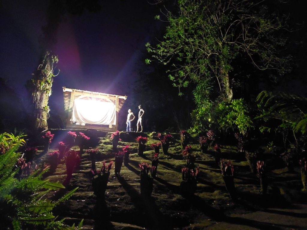 Inventaire des insectes nocturnes du jardin de Balata