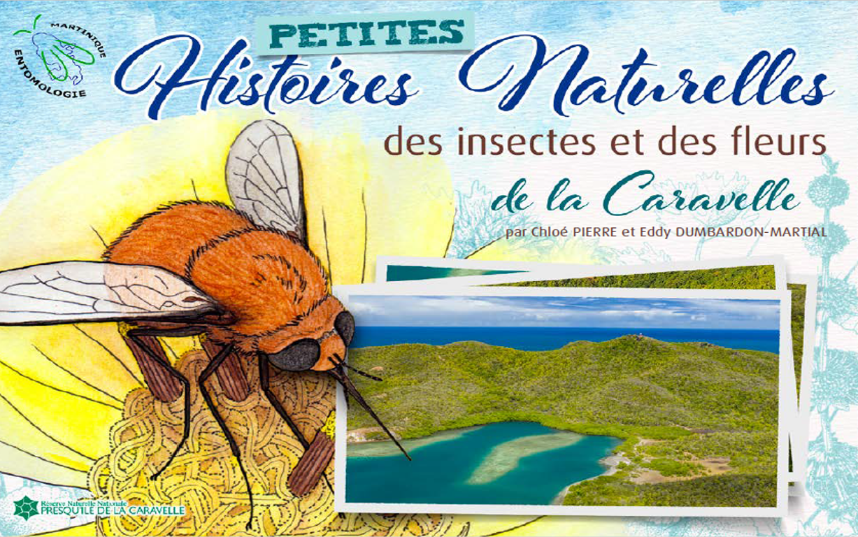 Petites Histoires Naturelles des insectes et des fleurs de la Caravelle