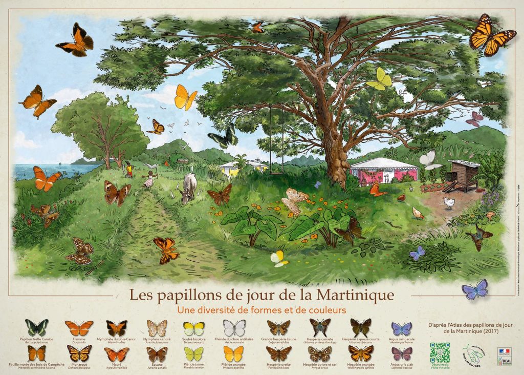 Entrez dans le monde des papillons de la Martinique - Poster des papillons de jour